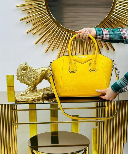 ladies bags