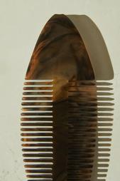 FISH COMB